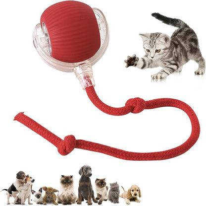 Chewie Viral 360 Smart Automatic Rolling Pet Ball - Image 8