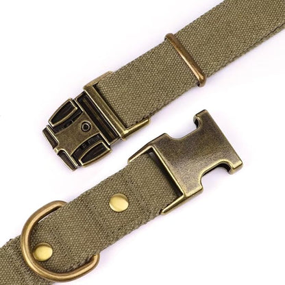 PET ARTIST Dog Collars for Medium Dogs, Soft Padded Premium Nylon Dog Collar - Image 4