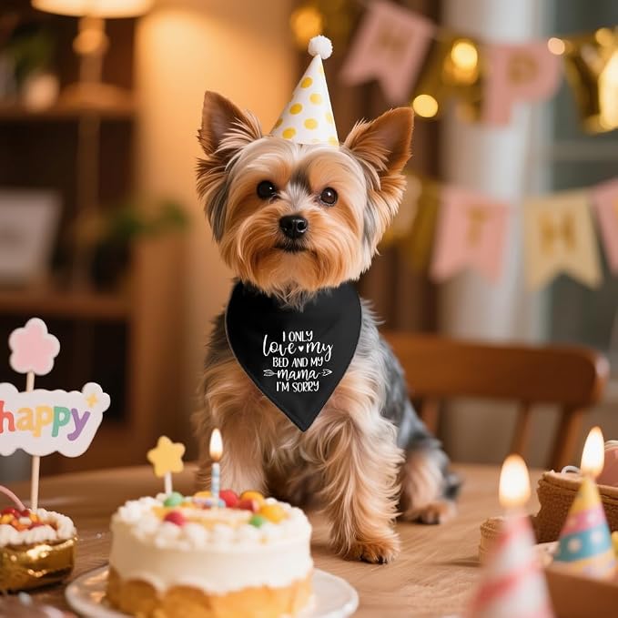 I Only Love My Bed and My Mama I'm Sorry Black Dog Bandana, Cute Puppy Scarf - Image 4