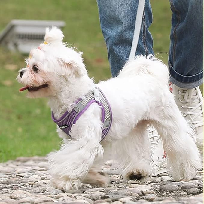 AIITLE Step in Dog Harness and Leash Set - Image 6