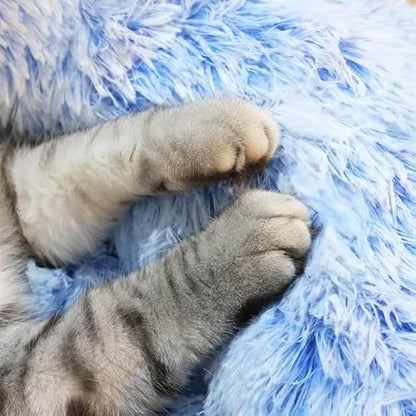 Cat Beds for Indoor Cats - Image 5