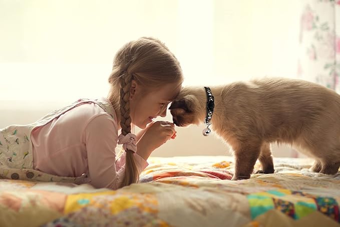 2PCS Breakaway Cat Collars - Image 7