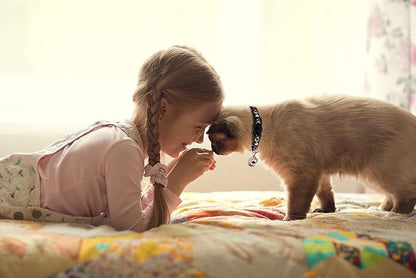 2PCS Breakaway Cat Collars - Image 6
