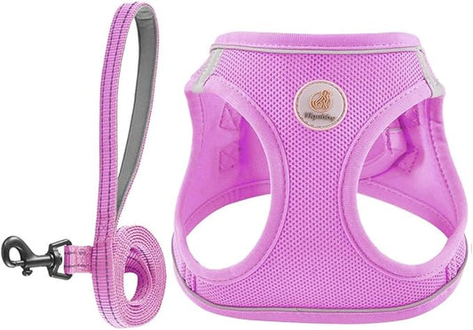 Hipubby Dog Harness and Leash Set, No Pull Soft Mesh Puppy Harness by Hipubby
