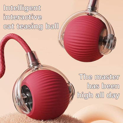 Interactive Cat Toy, Electric Dog BallToy, Cat Toys - Image 4