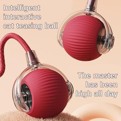 Interactive Cat Toy, Electric DogBall Toy, Cat Toys - Image 4