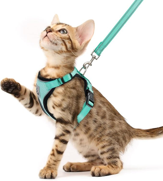 PUPTECK Cat Harness and Leash Set Escape Proof Reflective Cat Walking Harness by PUPTECK