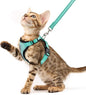 PUPTECK Cat Harness and Leash Set Escape Proof Reflective Cat Walking Harness by PUPTECK