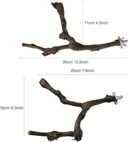Allazone 4-Piece Bird Perch - Image 5