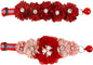 2 Pack Cat Collar Pink Floral by OGEFOTED