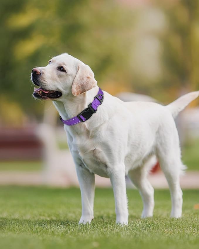 Joytale Large Dog Collar, Reflective and Adjustable Nylon Pet Collar - Image 2