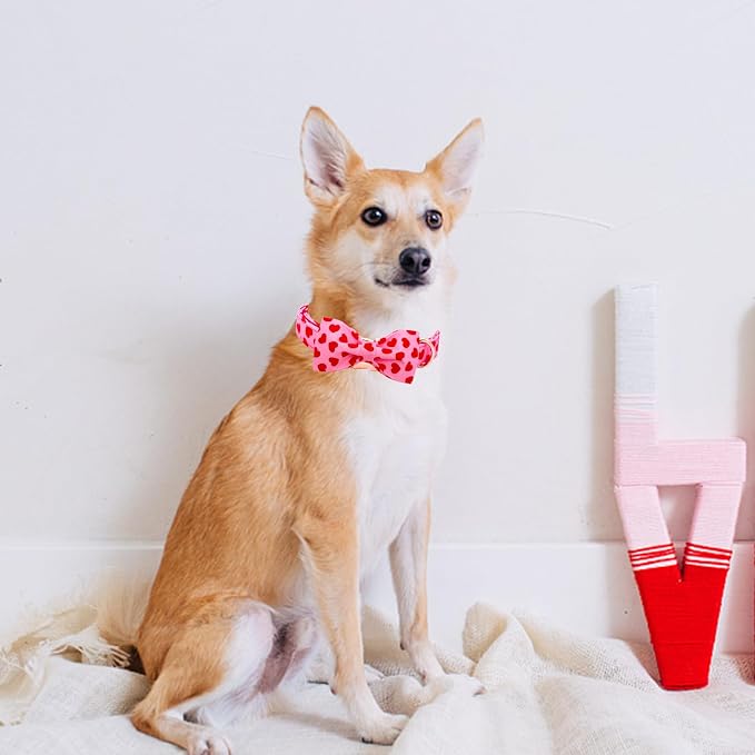 Lionheart glory Dog Bow Collar Valentine's Day Dog Collar - Image 5
