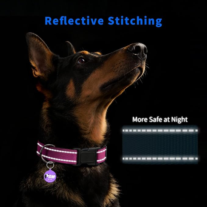 Reflective Dog Collar for Medium Dogs - Image 3