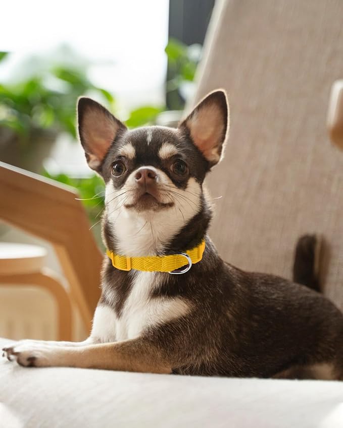 Dynmeow Soft and Breathable Cotton Dog Collar, Durable Adjustable Pet Collar - Image 7
