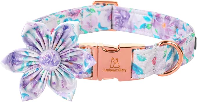 Lionheart Glory Dog Collar by LionheartGlory