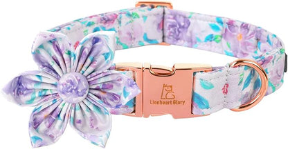Lionheart Glory Dog Collar by LionheartGlory