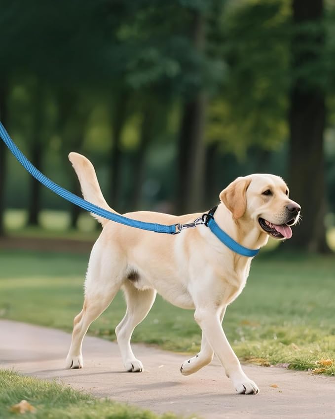 Joytale Large Dog Collar, Reflective and Adjustable Nylon Pet Collar - Image 6