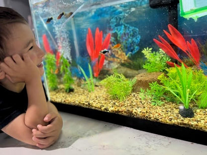 Aquarium Stone for Natural Water Clarification and Odor Removal Featuring - Image 6