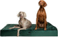 NOAH & PAW Giant Dog Bed XXL 55x45x9.5 Inch, Orthopedic Dog Beds, Eggshell by NoahPaw