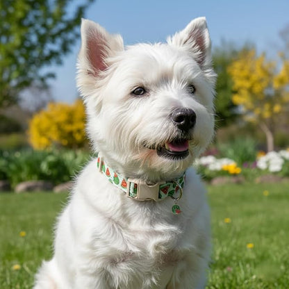 Summer Dog Collar for Large Dogs, Cute Dog Collar - Image 4