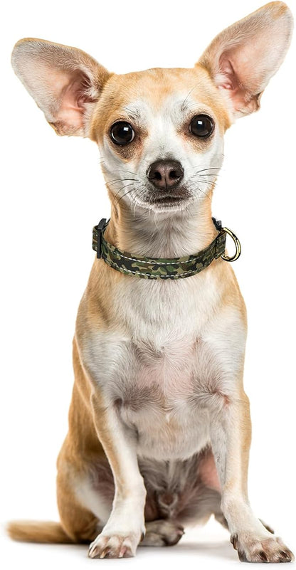 MOODEL Reflective Dog Collar for Extra Small Dogs Cats, Cute Camouflage - Image 2