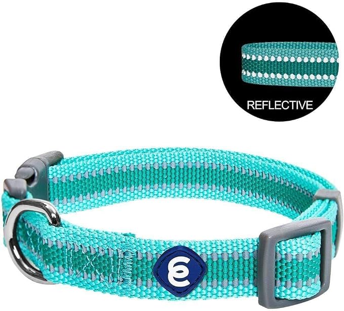 Blueberry Pet Essentials Matching Large Dog Collar | Adjustable Classic Solid - Image 4