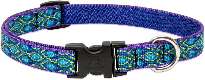 LupinePet Originals 3/4" Rain Song 15-25" Adjustable Collar by LupinePet