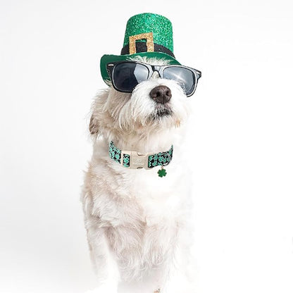 St Patricks Day Dog Collar for Small Dogs - Image 5