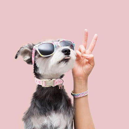 Girl Dog Collar for Medium Dogs - Image 6