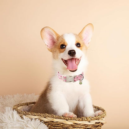 Easter Dog Collar for Large Dogs - Image 4