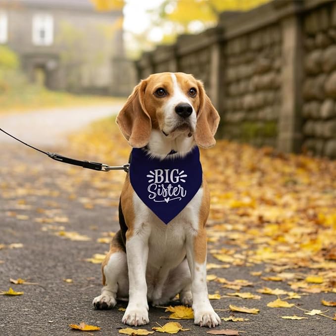 Big Sister Dog Bandanas, Dark Blue Dog Bandana, Pet Triangle Scarf Accessories - Image 5