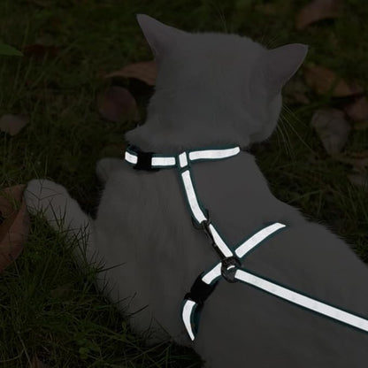 KOOLTAIL Cat Harness and Leash Set, Escape Proof Adjustable Kitten Harness - Image 6