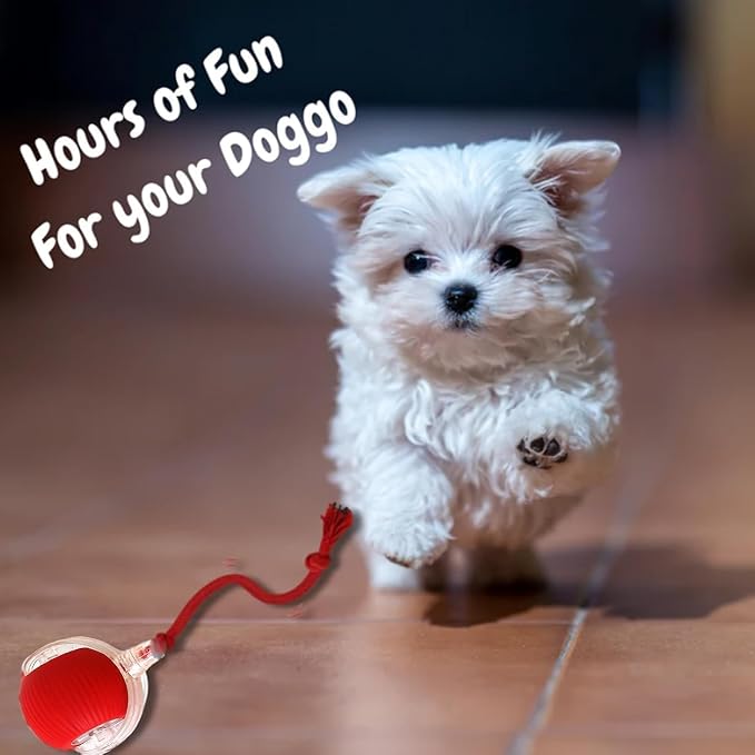 Interactive Cat Toy, Electric Dog BallToy, Cat Toys - Image 7