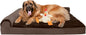 FurHaven Orthopedic Dog Bed & goDog Toy by FurHaven