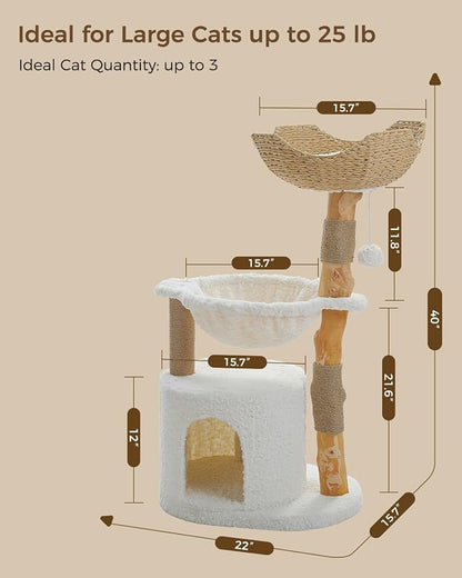 Modern Cat Tree for Large Cats, Wood Cat Tower for Indoor Cats, Real Branch - Image 3