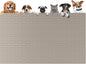 51.2"x25.6" Largest Dog Food Mat, XXXXL Silicone Dog and Cat Mat by Goldleaf