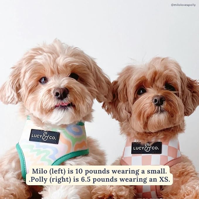 Lucy & Co. Cute Reversible Dog Harness Walking Halter - Image 4