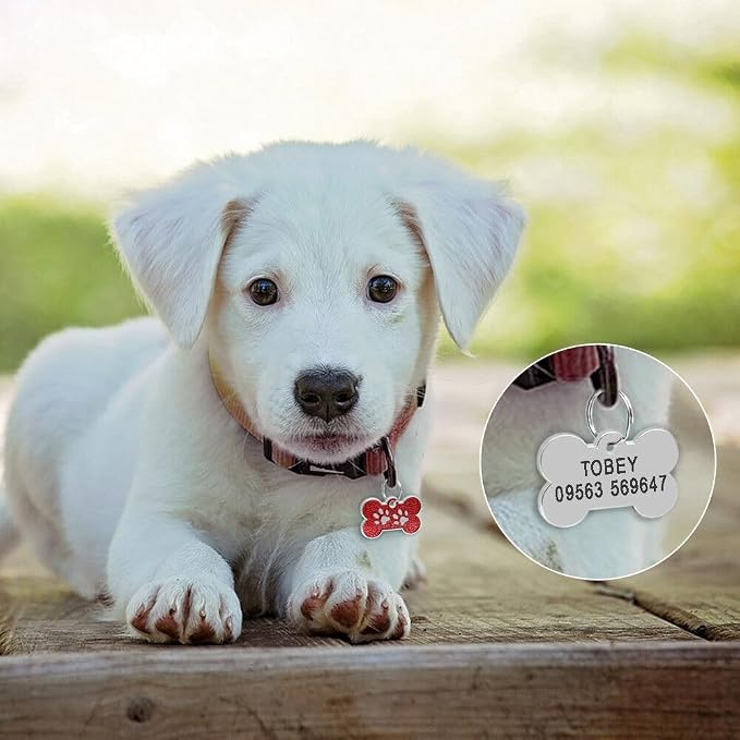 Personalized Dog/Cat Cute Paw Pet ID Tag - Image 8