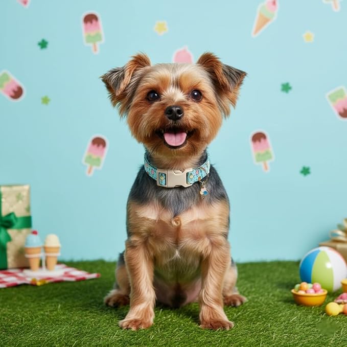 Dog Collars for Extra Small & Small Dogs, XS Dog Collar - Image 2