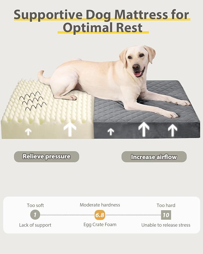 Orthopedic XL Dog Beds Large Sized Dog Waterproof Pet Bed - Image 5