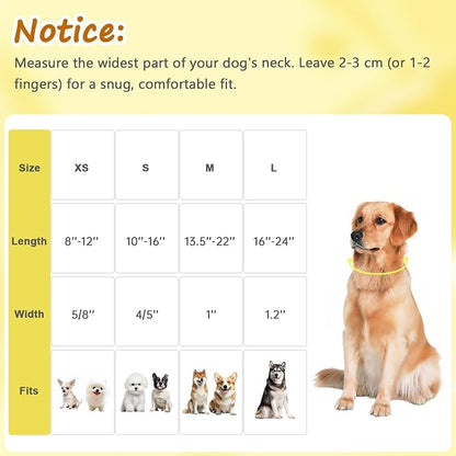 Yellow Dog Collar for Small Dogs, Spring & Summer Theme Small Dog Collars - Image 2