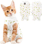 Cat Recovery Suit Female, Breathable Cat Onesie After Surgery Female by Coppthinktu