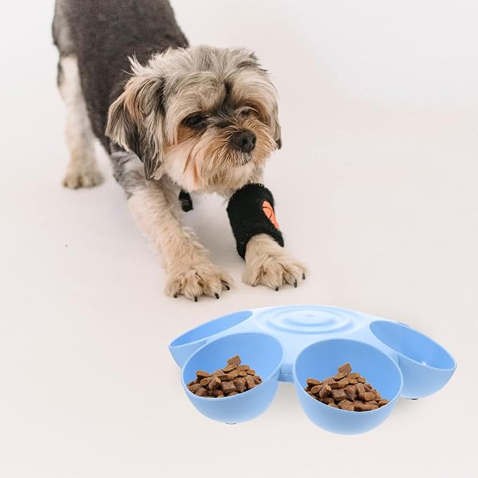 Puppy Litter Bowl Cat Bowls Dog Food Water Bowls Flower Shaped 6 Bowls Pet - Image 6