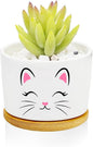 Window Garden Cat Planter Pots, Cat Loves Gifts by Databa