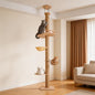 Floor to Ceiling Cat Tree, Adjustable Height, 4 Level Tall Cat Tree Tower by Unknown
