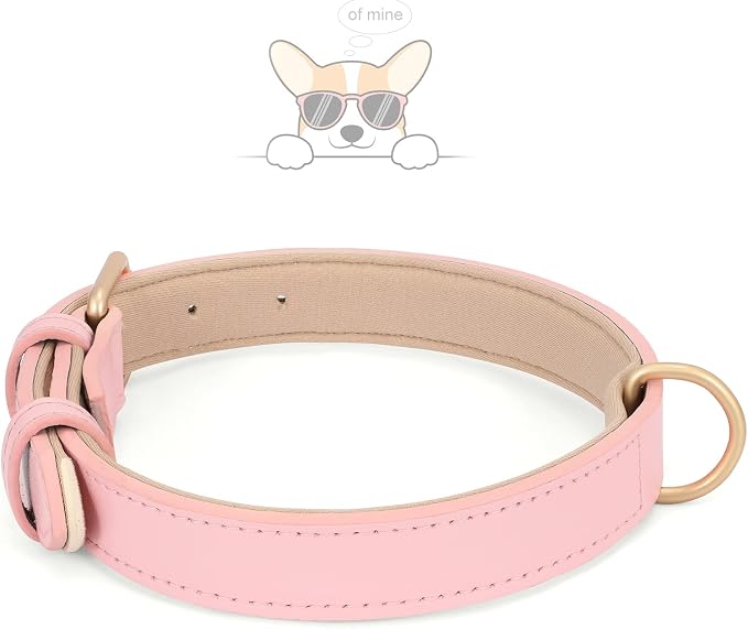 WHIPPY Airtag Leather Dog Collar GPS Tracker Air Tag Puppy Collar Adjustable - Image 3