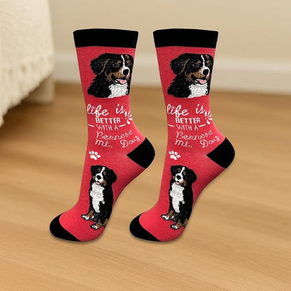 E&S Pets Pet Lover Socks - Image 3