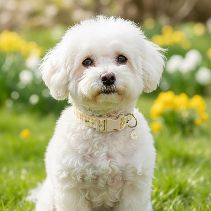 Cute Dog Collar, Spring Summer Design Floral Collar - Image 8