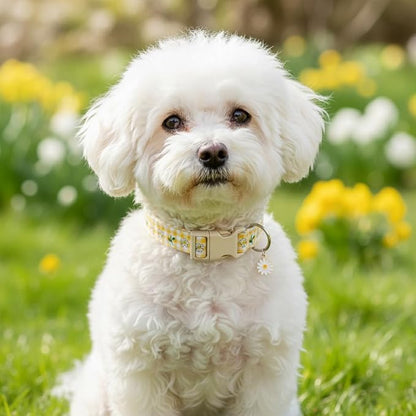 Cute Dog Collar, Spring Summer Design Floral Collar - Image 8