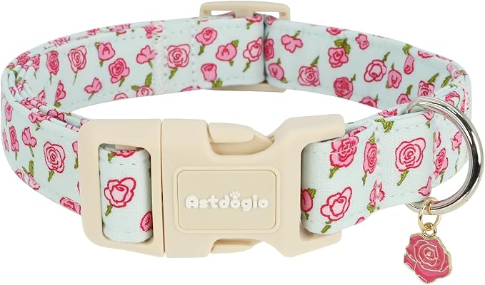 Dog Collar for Small Dogs, Spring &Summer Theme Blue Small Dog Collars by Unknown